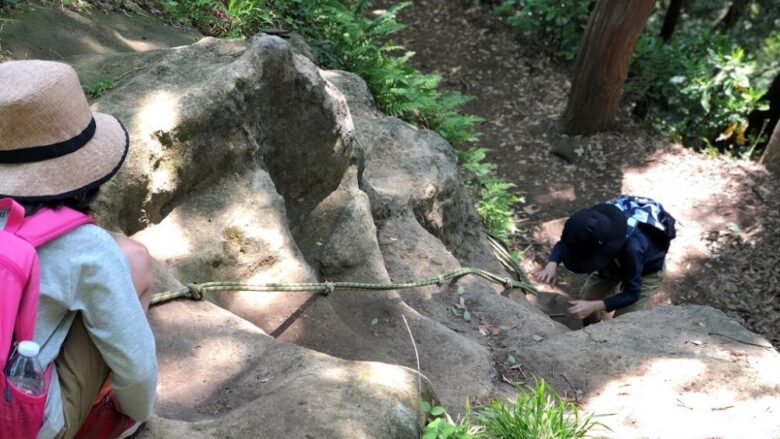 天園ハイキングコース